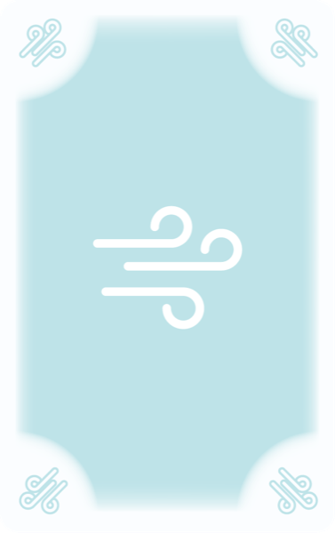 Air card